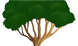 LEI 9605/98 - LEI DOS CRIMES AMBIENTAIS